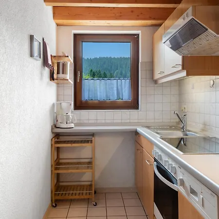 Cheny Mit Hochschwarzwaldcard * טיטיזי-נוישטאדט