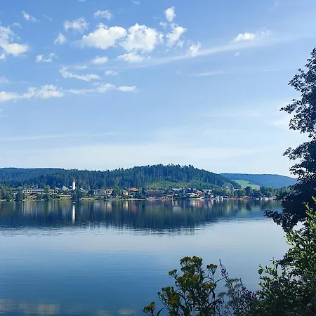 Cheny Mit Hochschwarzwaldcard * טיטיזי-נוישטאדט