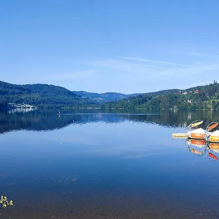 Cheny Mit Hochschwarzwaldcard * טיטיזי-נוישטאדט