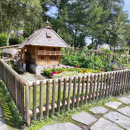 Cheny Mit Hochschwarzwaldcard טיטיזי-נוישטאדט