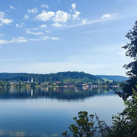 Cheny Mit Hochschwarzwaldcard Titisee-Neustadt