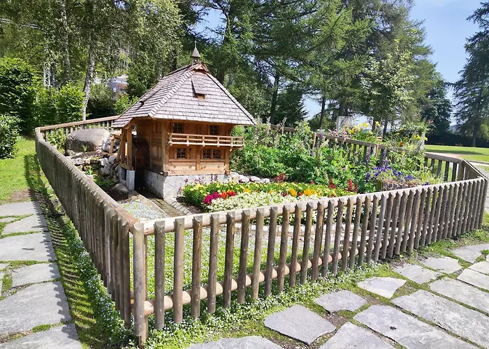 Cheny Mit Hochschwarzwaldcard تيتيسي نيوستادت